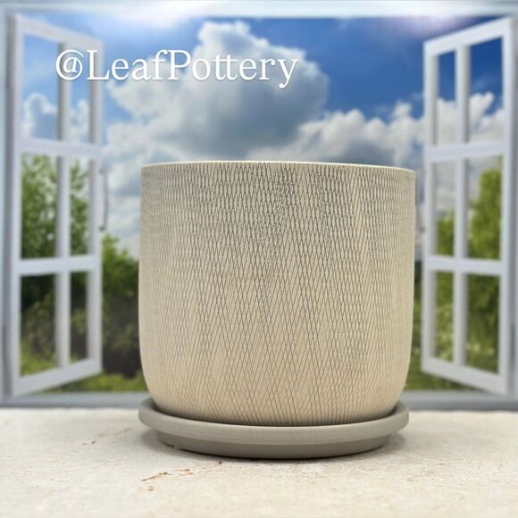 Greich Beige/light Gray Ceramic Planter Pot with saucer attached - Picture 1 of 9